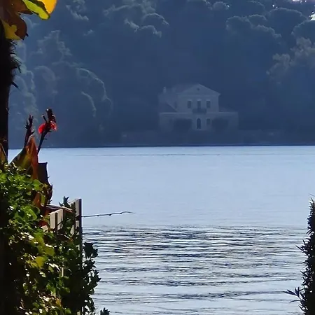 Apartament The House *