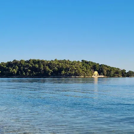 Apartament The House